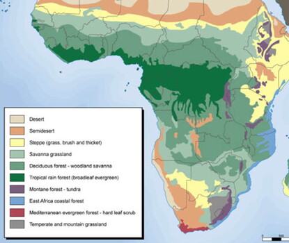 Color-coded map of Africa noting different vegetation zones